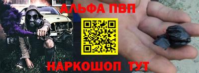 спиды Гай