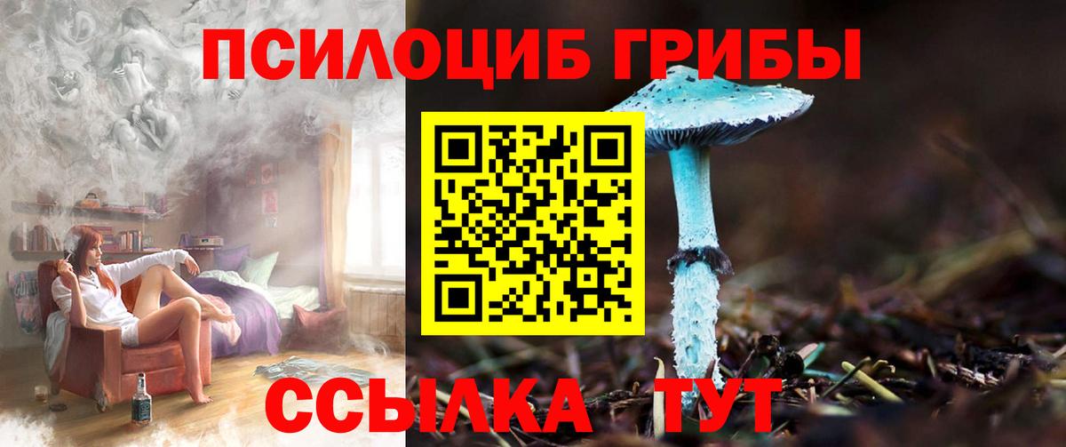 Галлюциногенные грибы Magic Shrooms Лыткарино