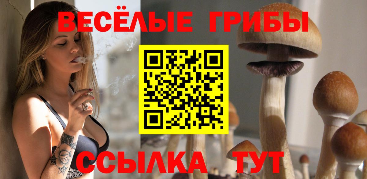 закладки  Вход с VPN  Лыткарино  Псилоцибиновые грибы MAGIC MUSHROOMS 